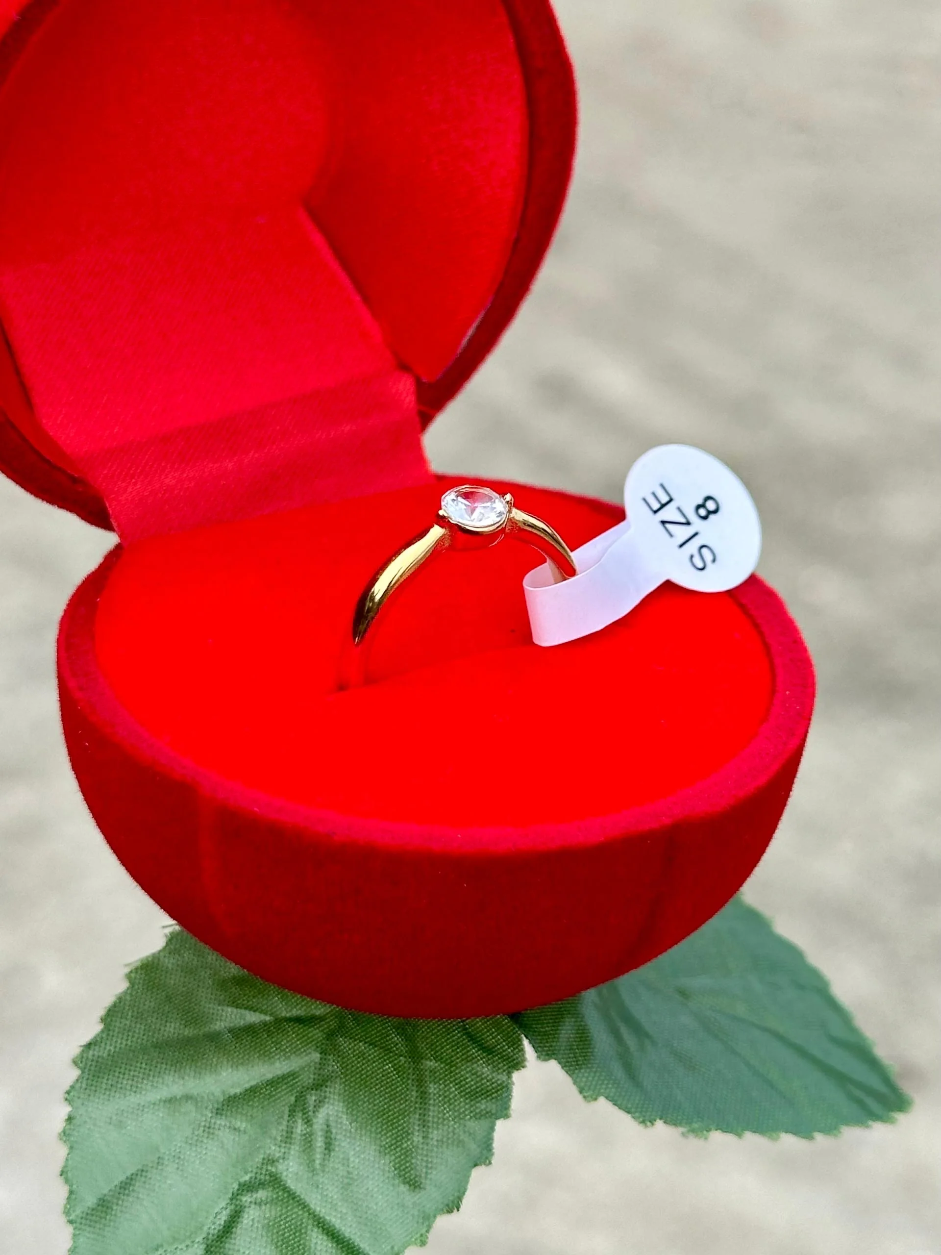 BAGUE DE FIANÇALLES