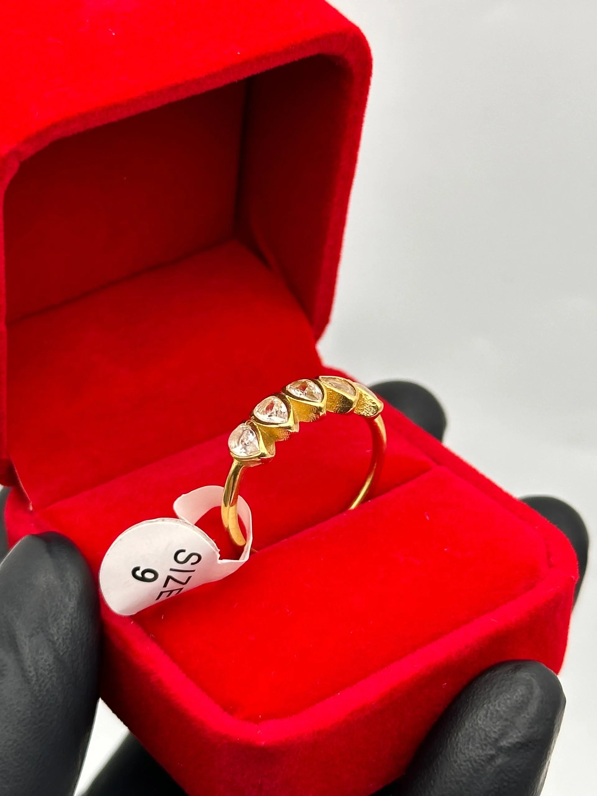 BAGUE DE FIANÇALLES