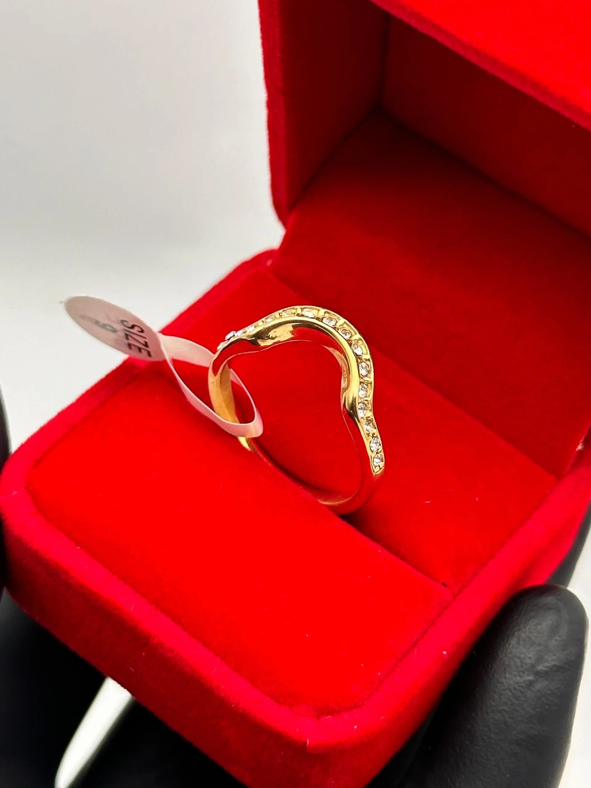 BAGUE DE FIANÇALLES