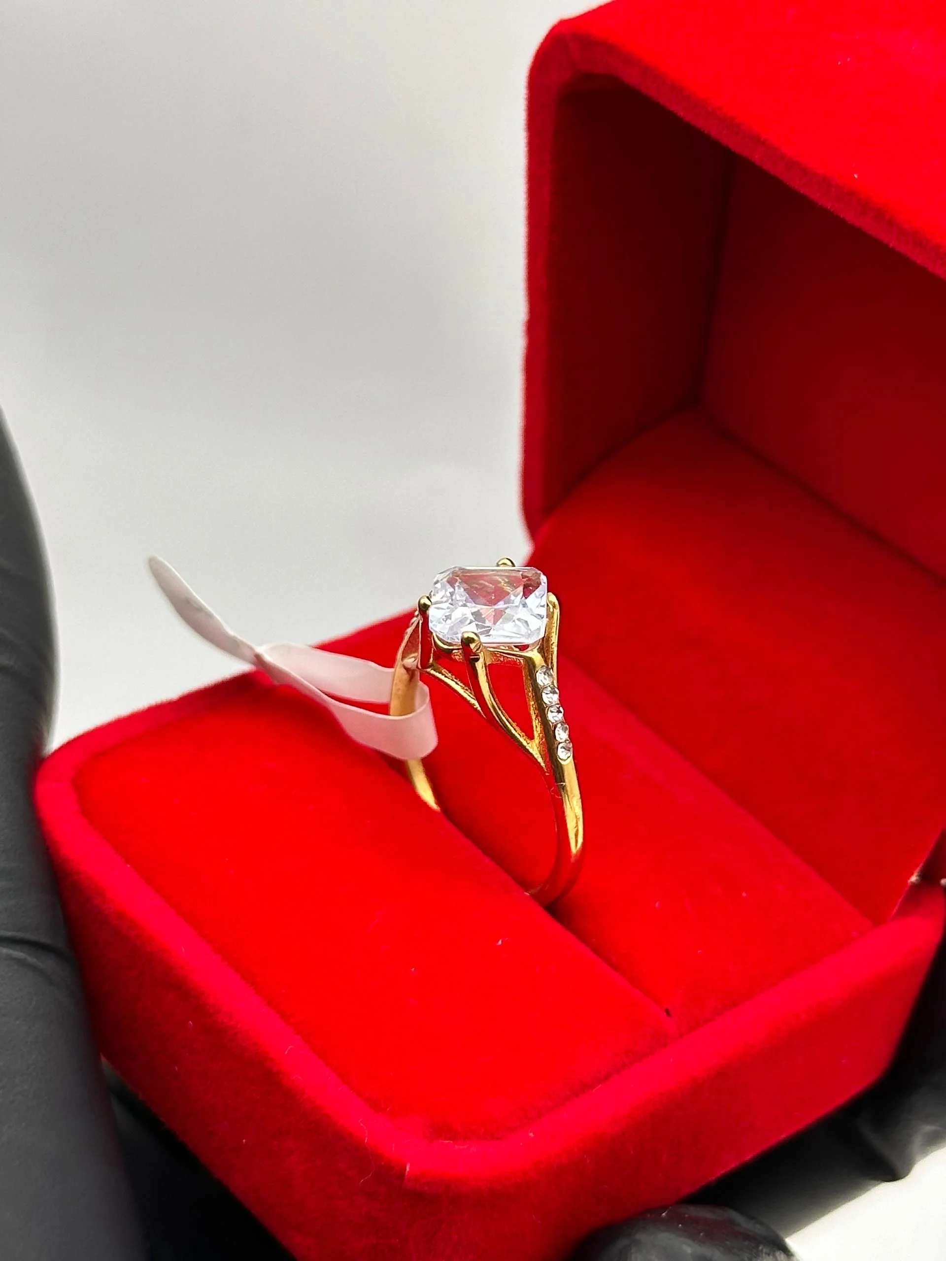 BAGUE DE FIANÇALLES