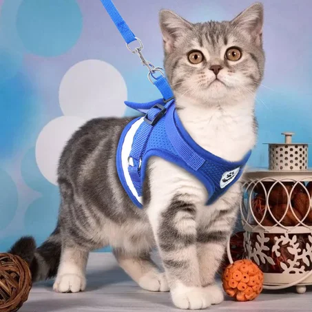 [ 40% OFF ] Ensemble harnais et laisse pour chat