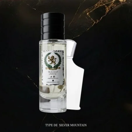 TYPE DE  SILVER MOUNTAIN