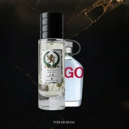 TYPE DE HUGO GO