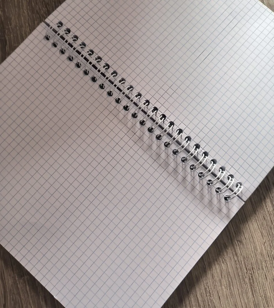 مفكرة سلك (Carnet 6) - غلاف فني عصري