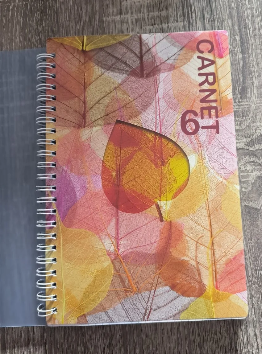 مفكرة سلك (Carnet 6) - غلاف فني عصري