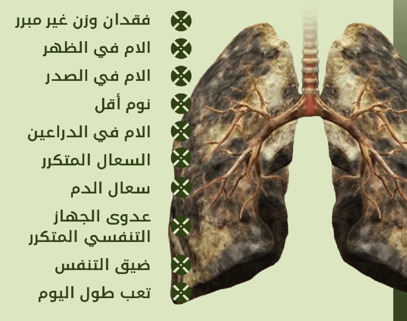 كبسولات تنظيف الرئتين