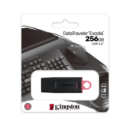 Clé USB 256 Gb Kingston DataTraveler Exodia USB 3.2