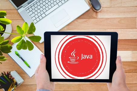 Java Programming Language