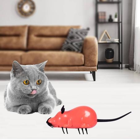 souris électronique, jouet interactif