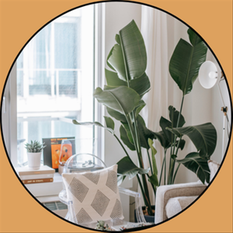 لوازم منزليية