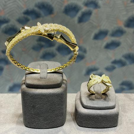 BB1005 Bracelet et bague