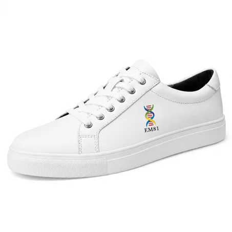 CHAUSSURES SENAKERS EM81