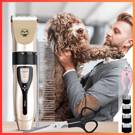 Mascota Linda en Minutos