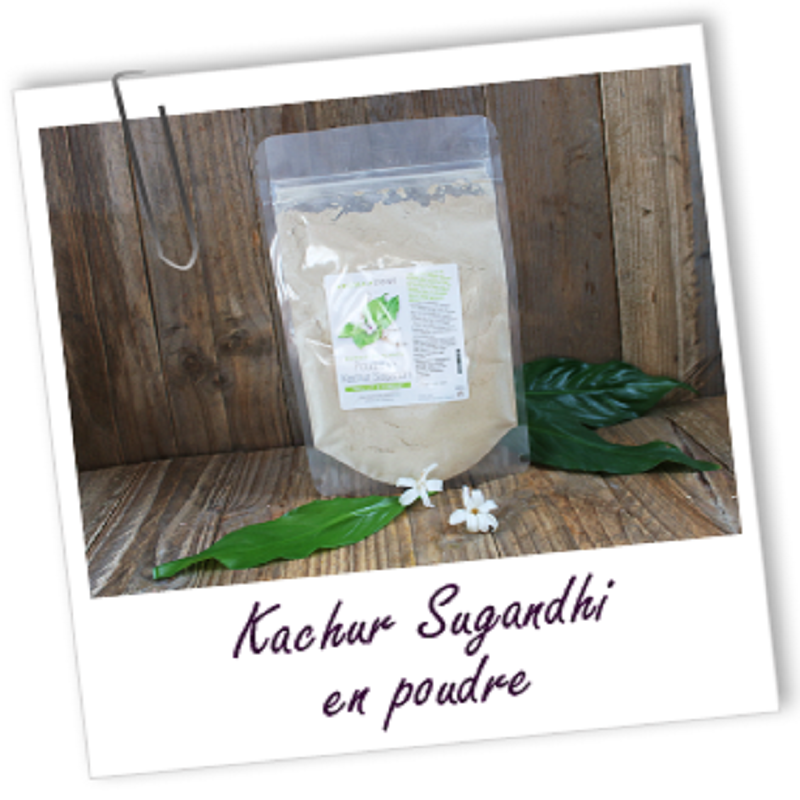 Poudre ayurvédique de Kachur sugandhi - Aroma-Zone