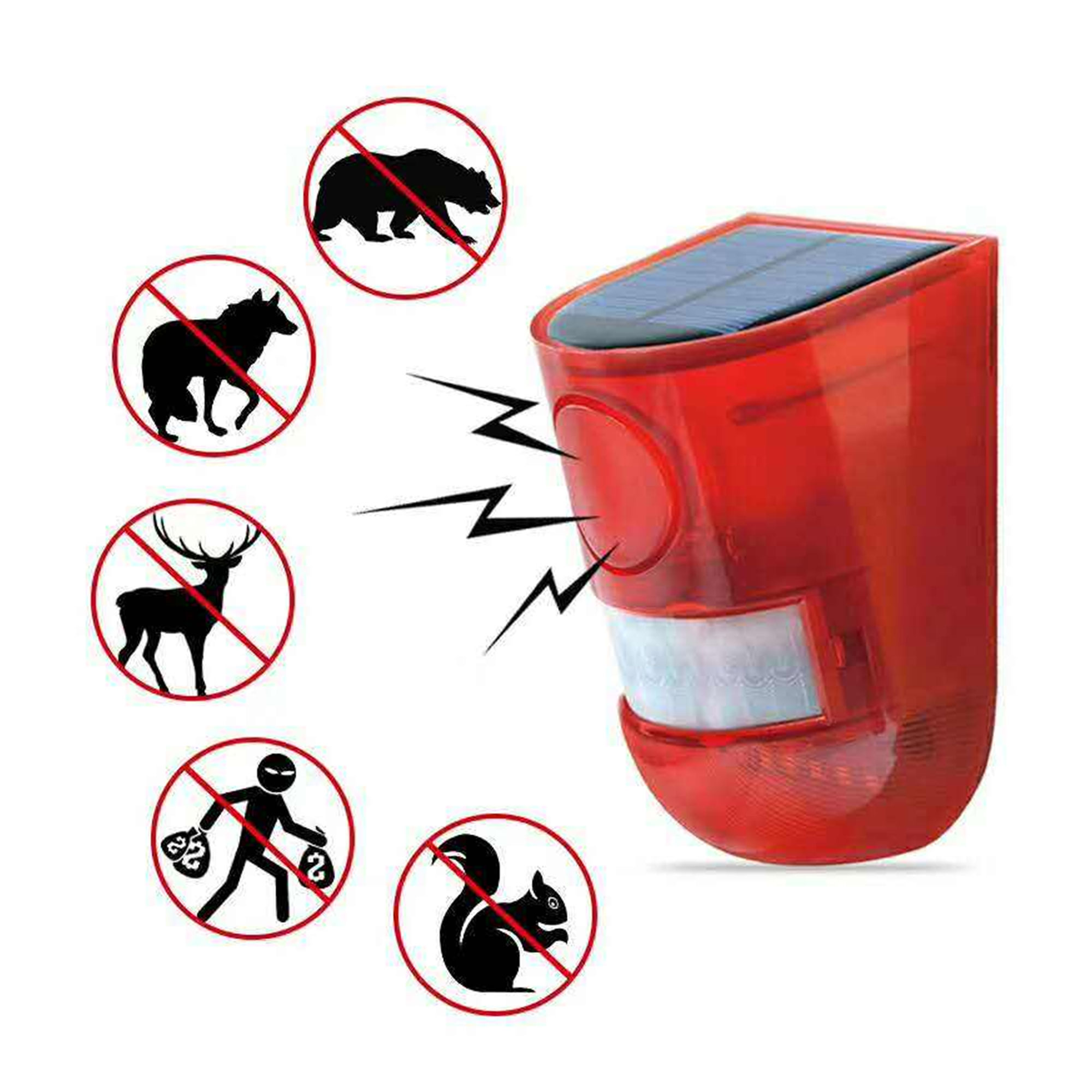 https://cdn.youcan.shop/stores/a00c3cef529e1b7f83d22d85c384a622/products/uOYBNzBe5JEExdjYT9YX6qvwdUS3VzmL3gVDZWdE.jpg