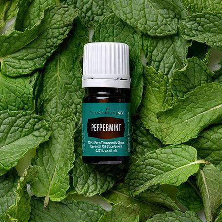 زيت أساس النعناع