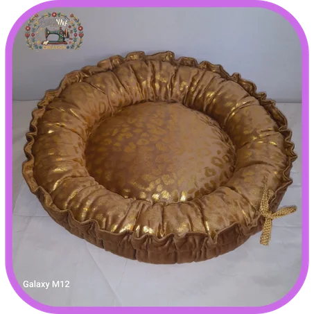 Modèle chat ou très petit chien