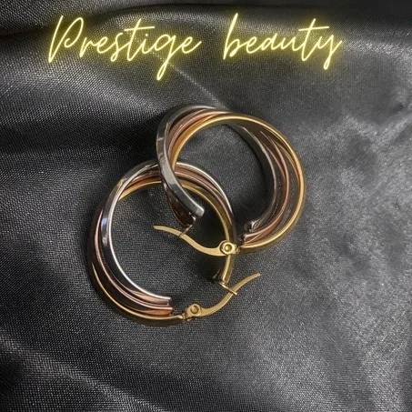 Boucle d'oreille acier inoxydable doré et argenté