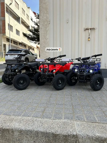 Quad Électrique 36V 1000W Enfant