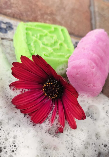 shampoo solide  شامبو بار