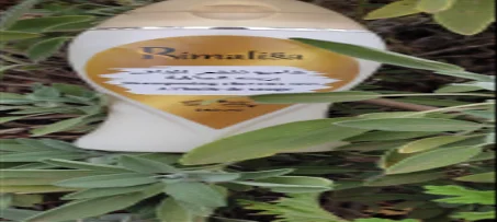 شامبو للشعر الجاف  بزيت السالمية