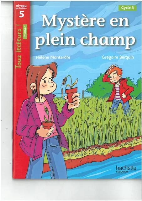 MYSTERE EN PLAN CHAMP