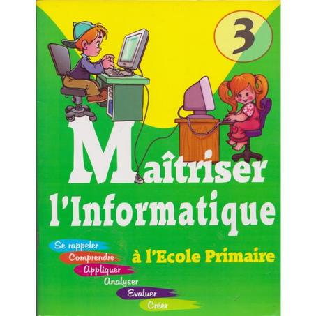 Maîtriser l'informatique N3+CD