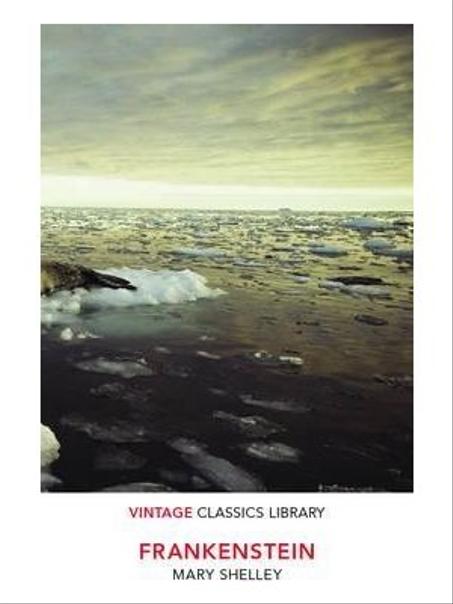 FRANKENSTEIN  VINTAGE CLASSICS