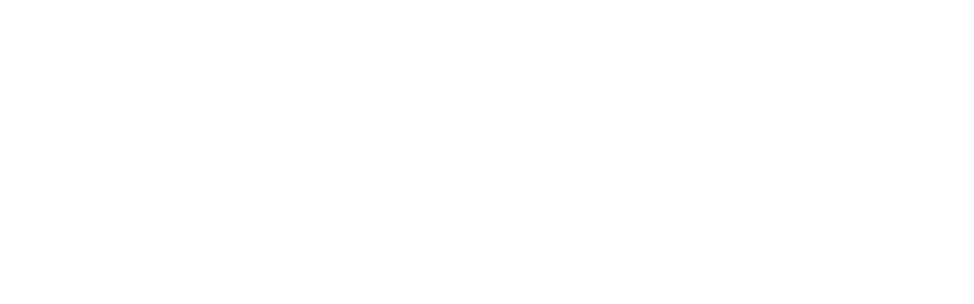 BRAINOU