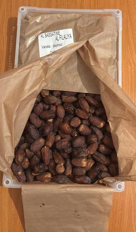 تمور المجهول بالجملة من واحات تافيلالت – جودة عالية وكَمّية موفرة (5 كلغ)