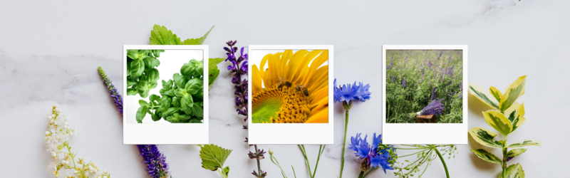 slider-image