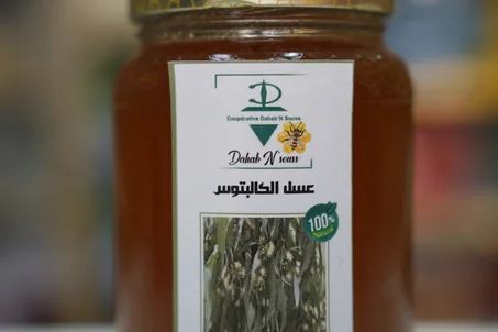 عسل كالبتوس