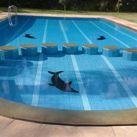 Construction Et Équipements Des piscines