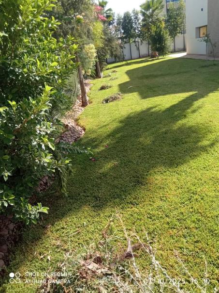 النباتات الطبيعية