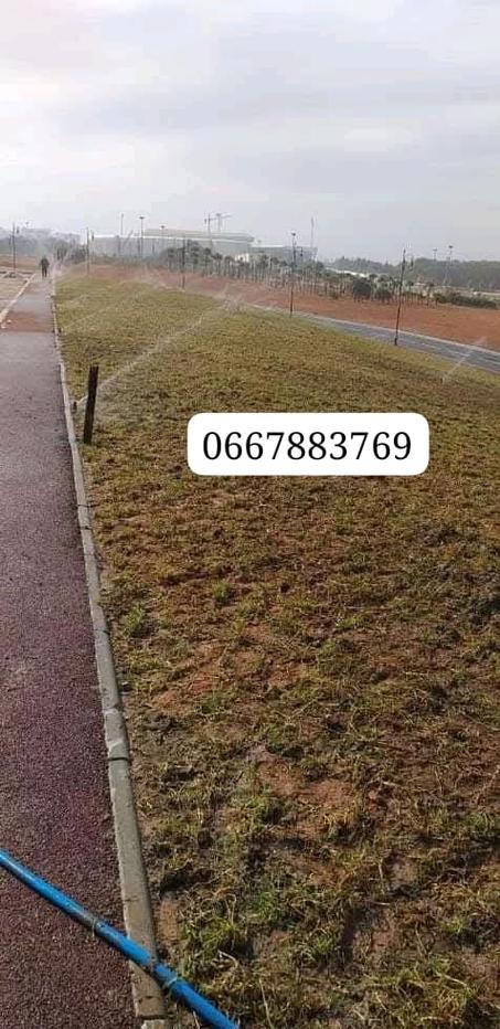 منظمات السقي