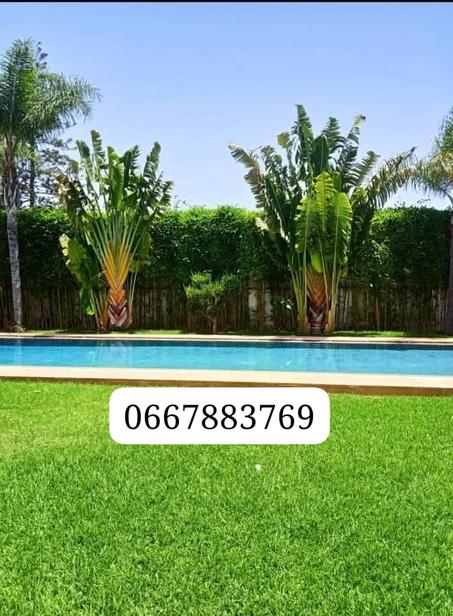 النباتات الطبيعية والاصطناعية