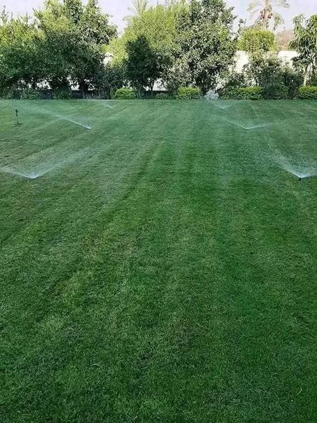 السقي الأوتوماتيكي (Arrosage Automatique)