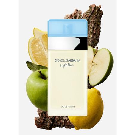 Dolce & Gabbana Light Blue Eau de Toilette pour Femme