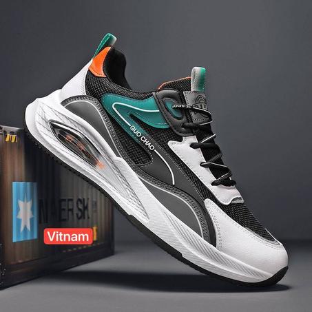 NOVELLE COLLECTION  Fachion