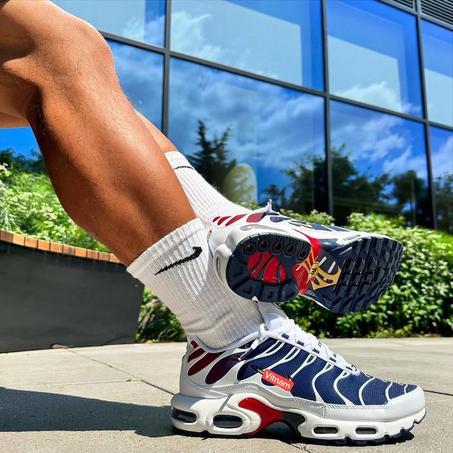 espadrille  TS 2025 🐊