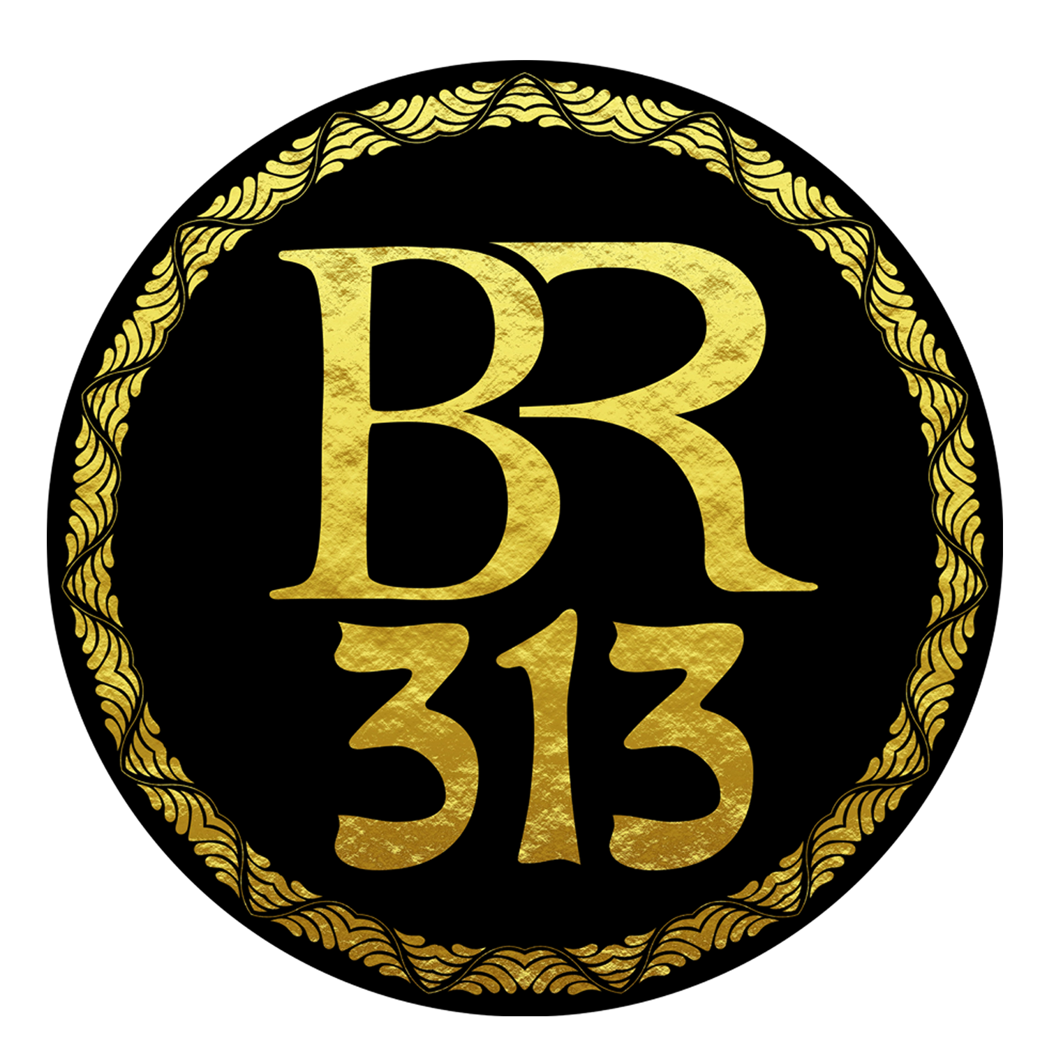 br313