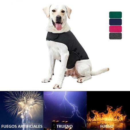 Chaleco reflectante para perros pequeños, medianos y grandes, chaqueta para la ansiedad, producto para mascotas