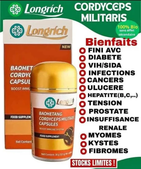 CORDYCEPS MILITARIS CAPSULES : le dernier recours