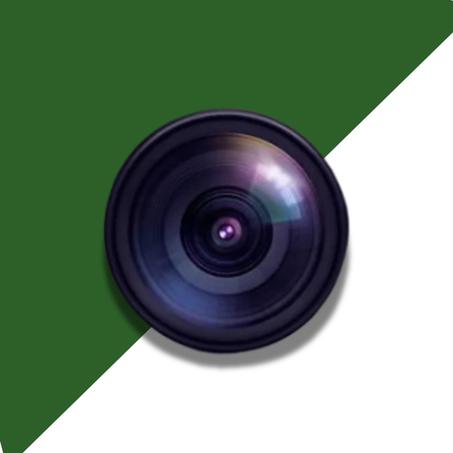 الكاميرا المغناطيسية