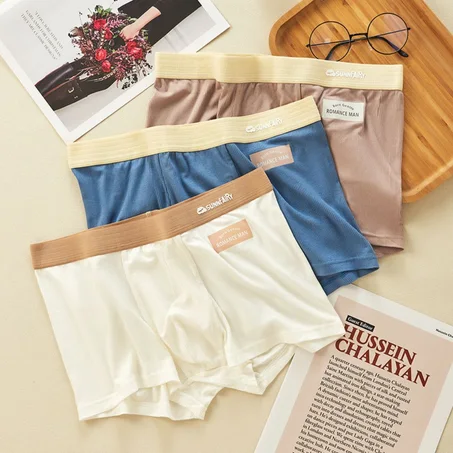 PACK DE 3 BOXERS CONFORT ABSOLU – COLLECTION 2026  BF