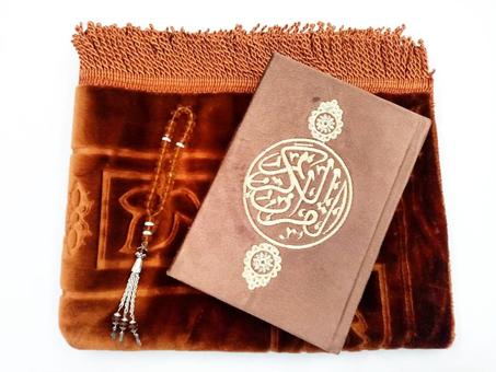 باك اجمل هدية