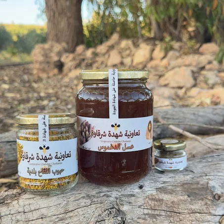 مجموعة لرفع المنــــاعــة