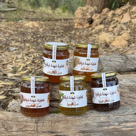 پاك اقتصادي حجم 1/2كغ