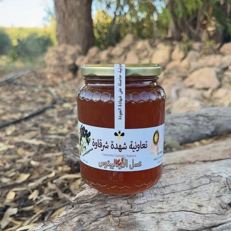 عسل الاوكاليبتوس