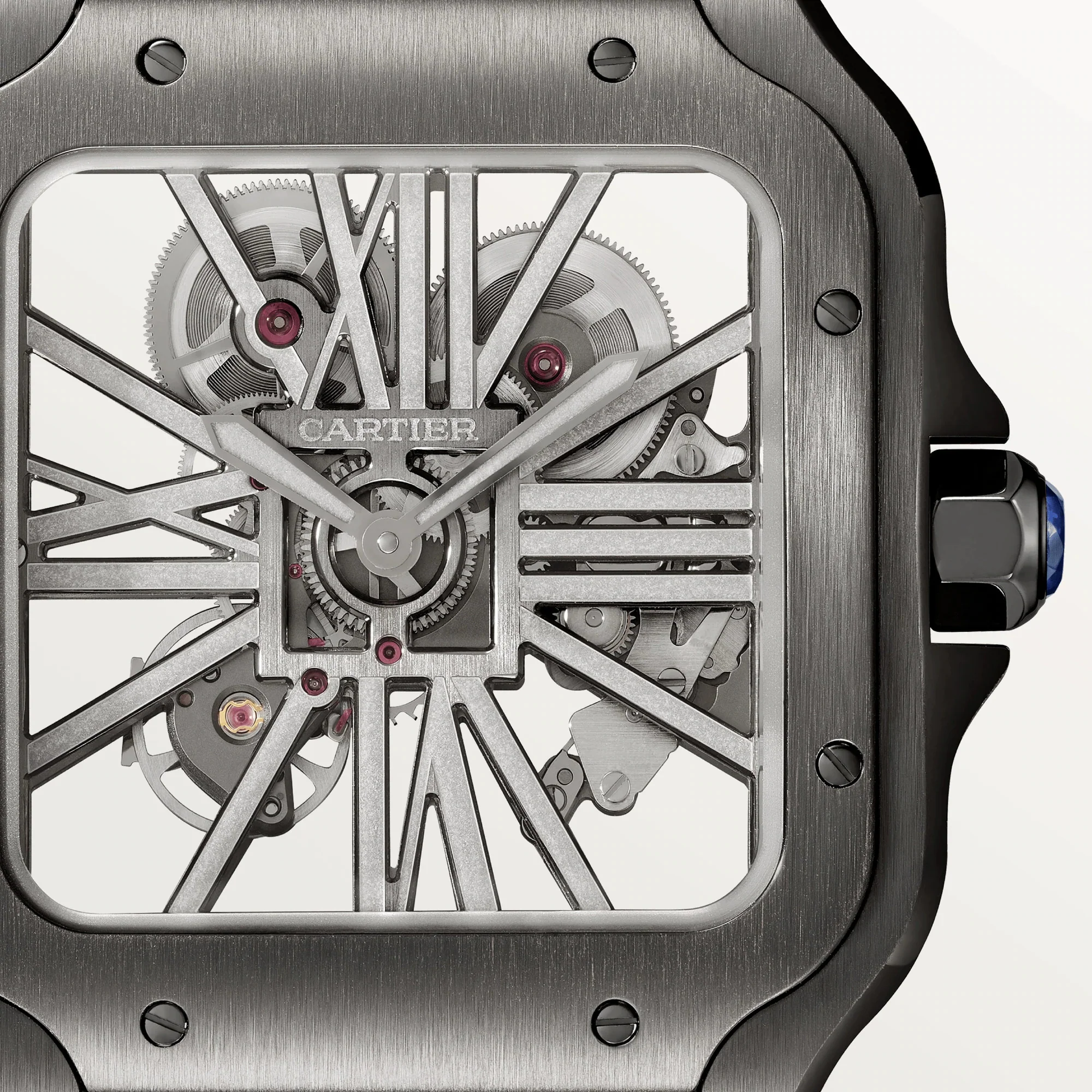 Santos de Cartier Skeleton Strap in leather